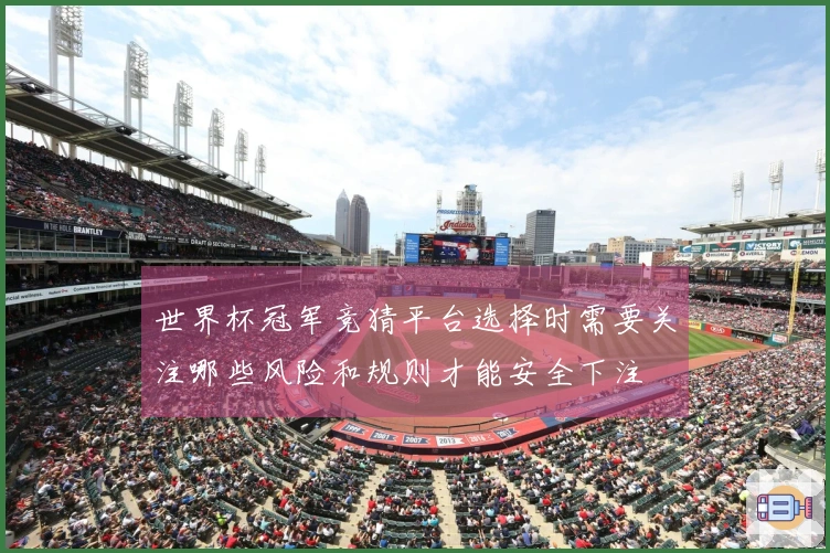 世界杯冠军竞猜平台选择时需要关注哪些风险和规则才能安全下注