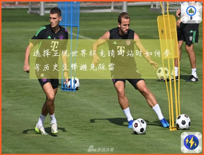 选择正规世界杯竞猜网站时如何参考历史交锋避免踩雷