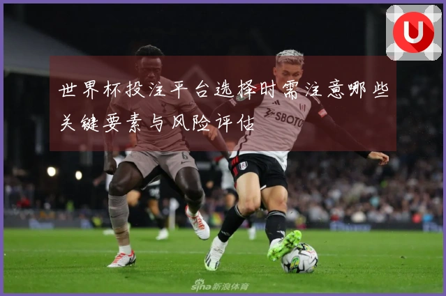 世界杯投注平台选择时需注意哪些关键要素与风险评估