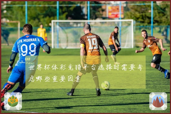 世界杯体彩竞猜平台选择时需要考虑哪些重要因素